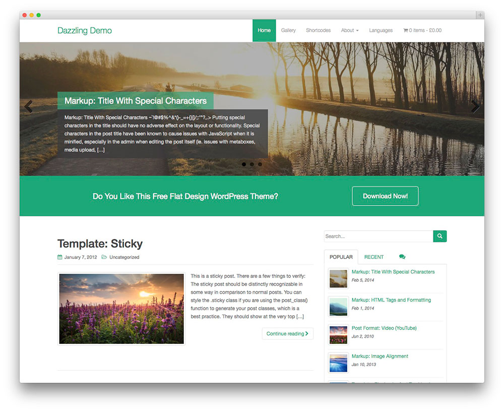 wordpress theme